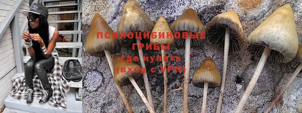 прущие крисы Надым