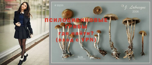гашик Нефтегорск