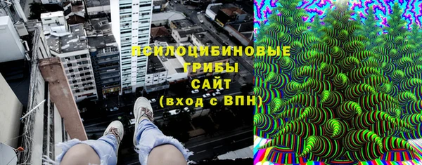 прущие крисы Надым